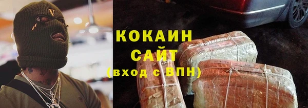 ПСИЛОЦИБИНОВЫЕ ГРИБЫ Вязники