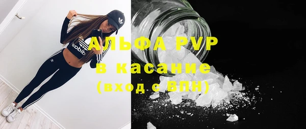 ПСИЛОЦИБИНОВЫЕ ГРИБЫ Вязники