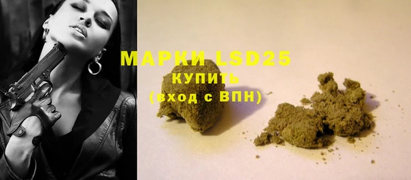 ПСИЛОЦИБИНОВЫЕ ГРИБЫ Вязники