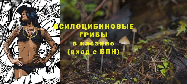 герыч Вязьма