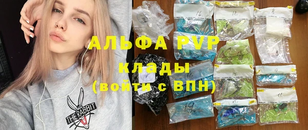 ПСИЛОЦИБИНОВЫЕ ГРИБЫ Вязники
