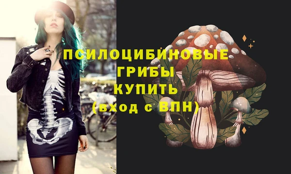 ПСИЛОЦИБИНОВЫЕ ГРИБЫ Вязники