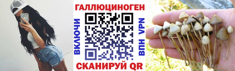 Псилоцибиновые грибы мицелий  Волгодонск 